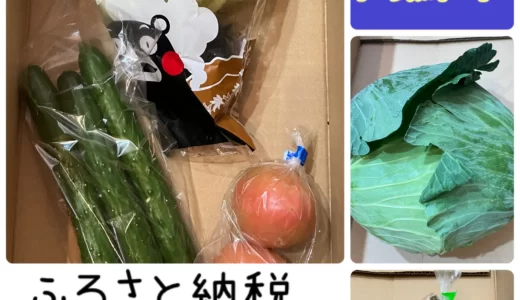 旬の野菜セット【ASOMOの商品が届く】熊本県阿蘇市のふるさと納税の紹介ブログ