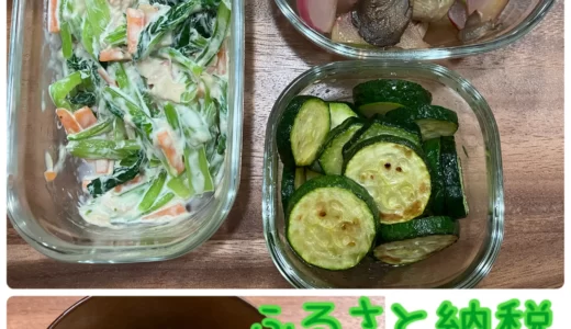 朝どれ野菜が届く「ふるさと納税」宮崎県綾町の野菜セットの紹介ブログ