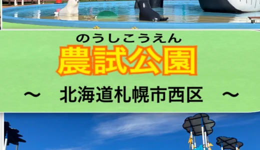 駐車場がある！「大型遊具に水遊び‼」冬になれば、ソリやスキーもできる公園の紹介ブログ