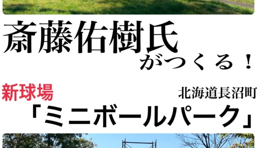 期待が膨らむ‼ハンカチ王子がつくる【ミニボールパーク】紹介・観光ブログ