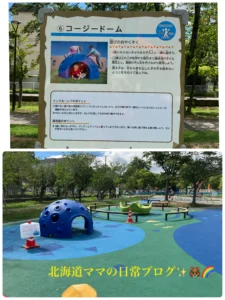 農試公園にある遊具コージードーム