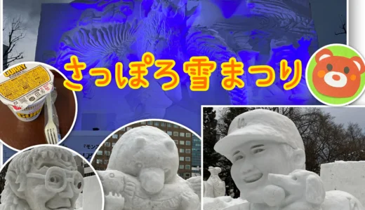 【2025年】さっぽろ雪まつり！最高の一日の過ごし方♬道民のイベント紹介ブログ